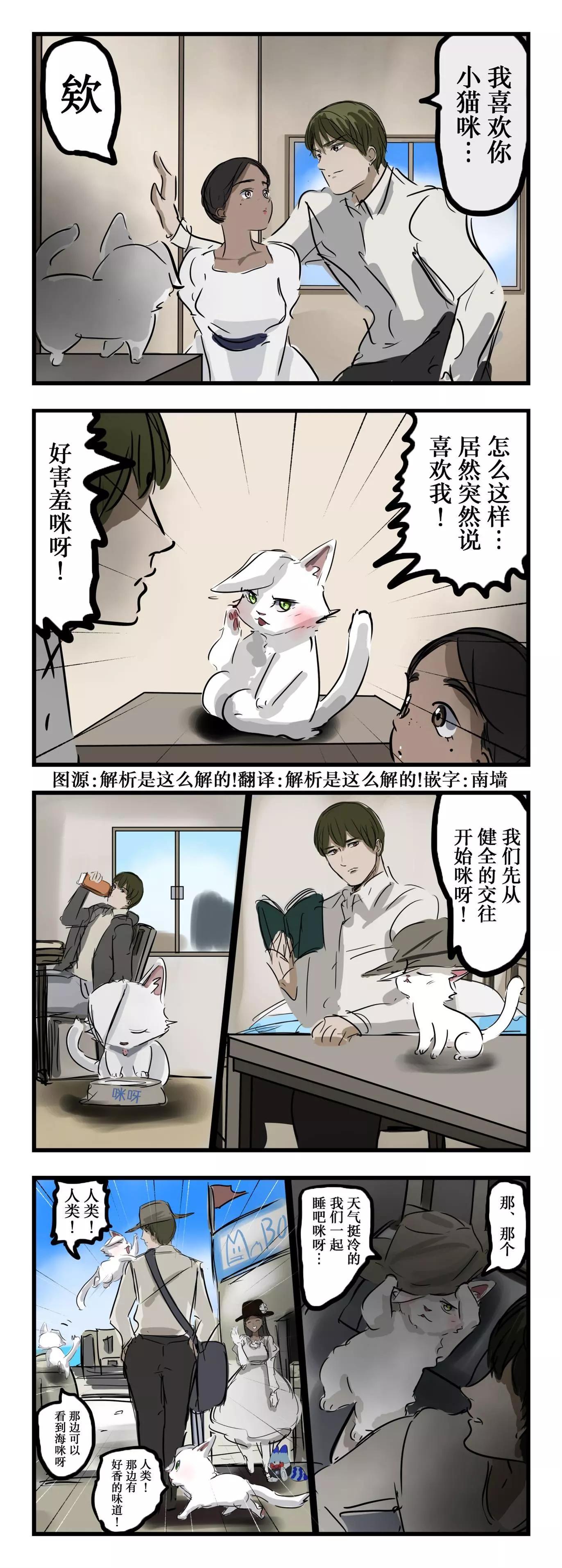 🍕カコミスル老师四格合集 小猫咪 第1页