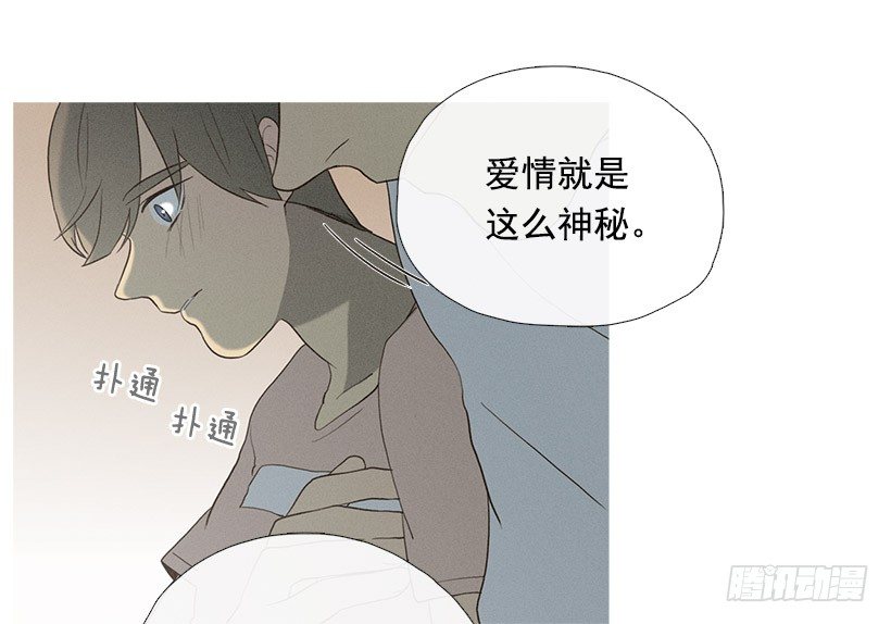 爱情降临-第40话