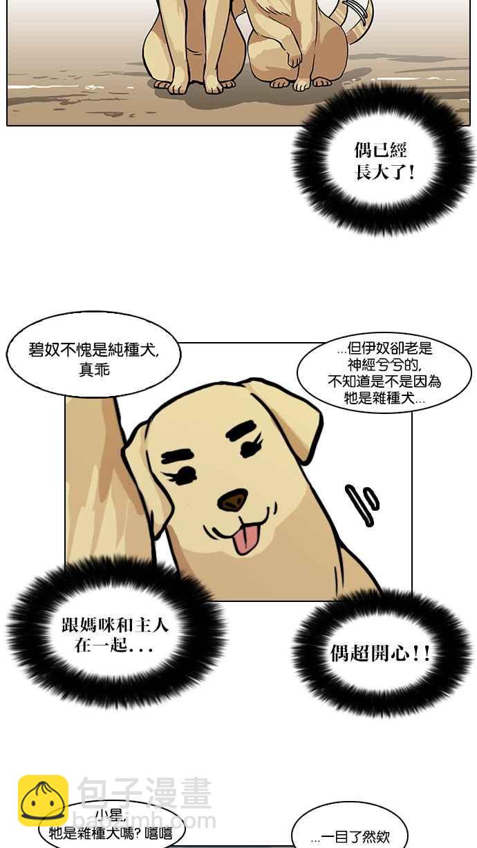 🍕看脸时代 [第58话] 流浪犬 - 伊奴（1） 第6页