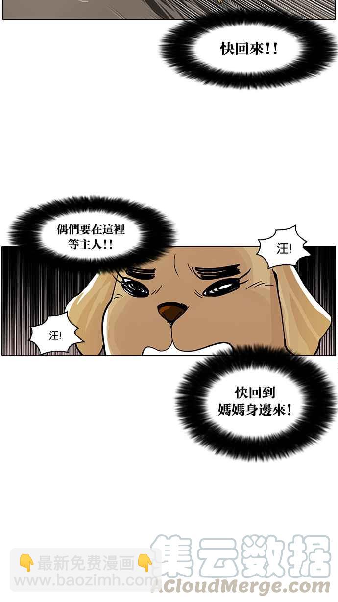 🍕看脸时代 [第62话] 流浪犬 - 伊奴（结尾） 第37页