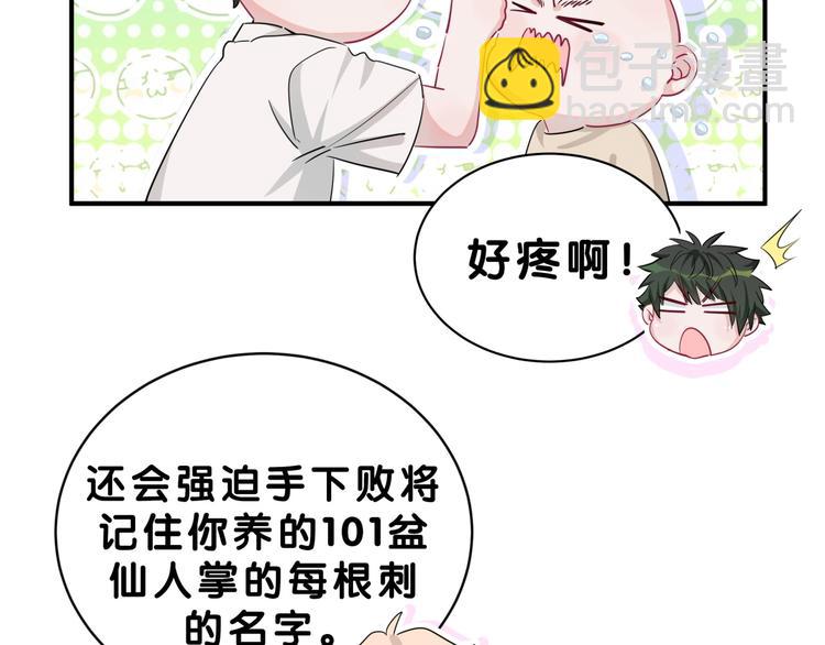 第5话 最强盾牌(1/2)-第8话