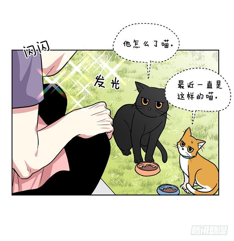 第54话 （上）-第108话