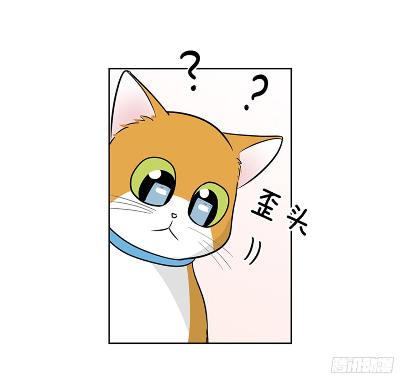 第67话 （上）-第134话