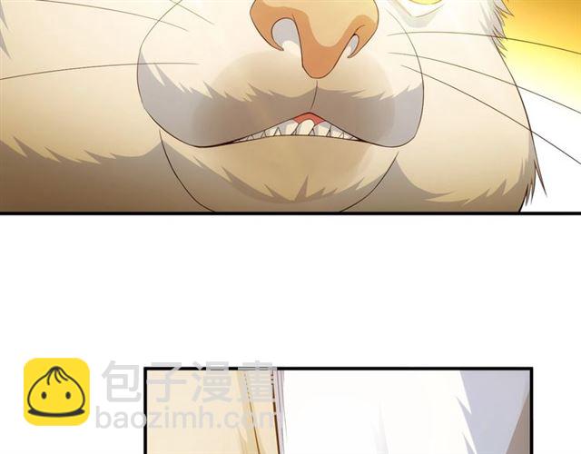 🍕氪金玩家 第139话 招财猫！ 第22页