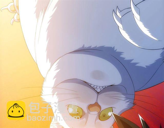 🍕氪金玩家 第139话 招财猫！ 第39页