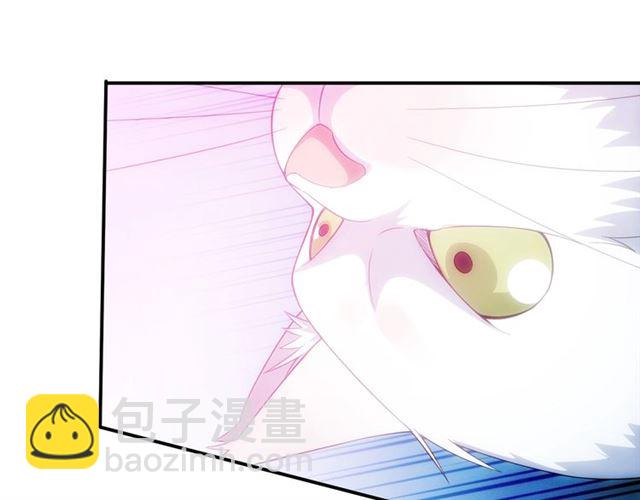 🍕氪金玩家 第139话 招财猫！ 第44页
