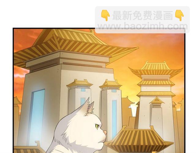 🍕氪金玩家 第139话 招财猫！ 第5页