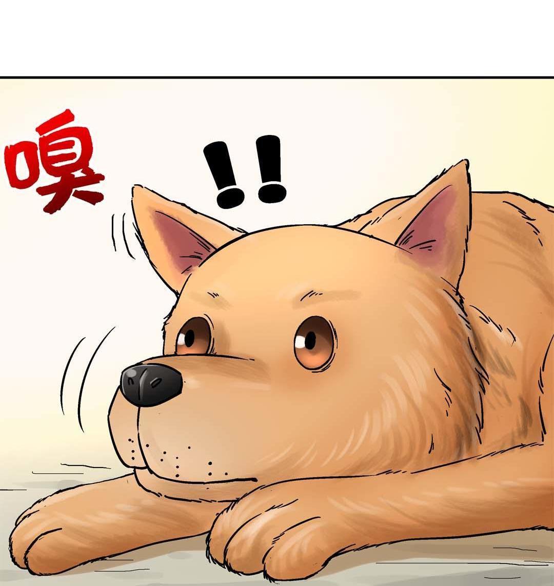 第48话-第46话