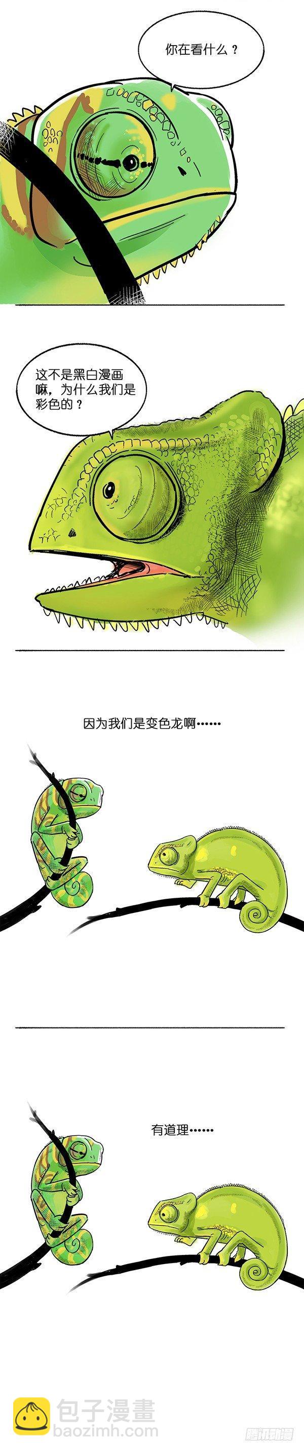 🍕快把动物放进冰箱 002变色 第2页