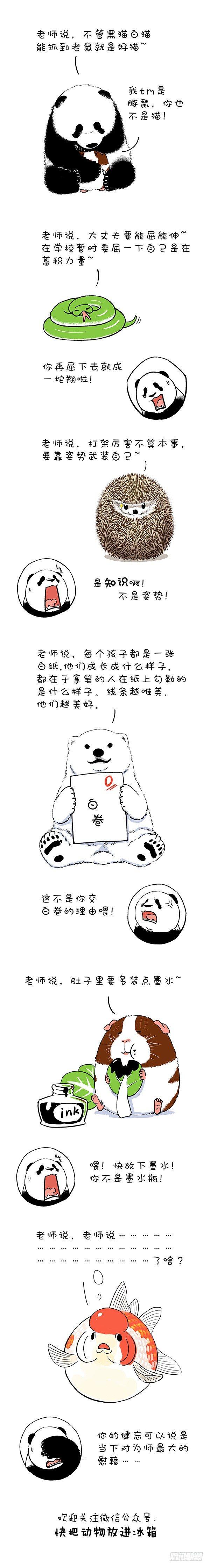 🍕快把动物放进冰箱 105祝老师节日快乐！ 第1页