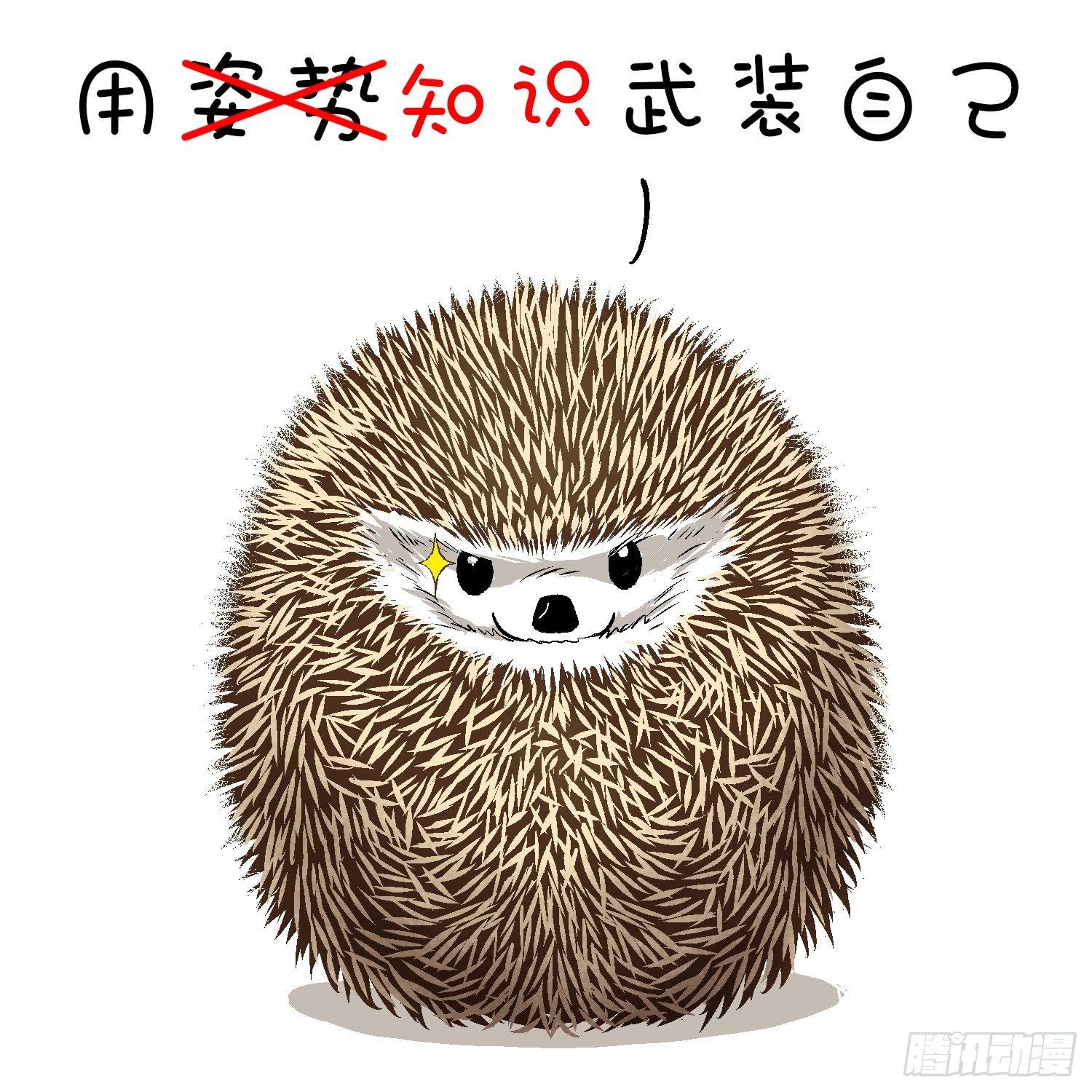 🍕快把动物放进冰箱 105祝老师节日快乐！ 第3页