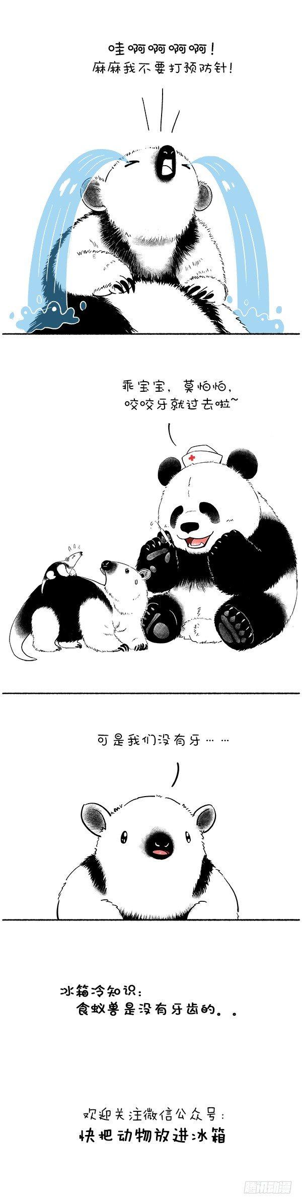 🍕快把动物放进冰箱 107爱牙日 第1页
