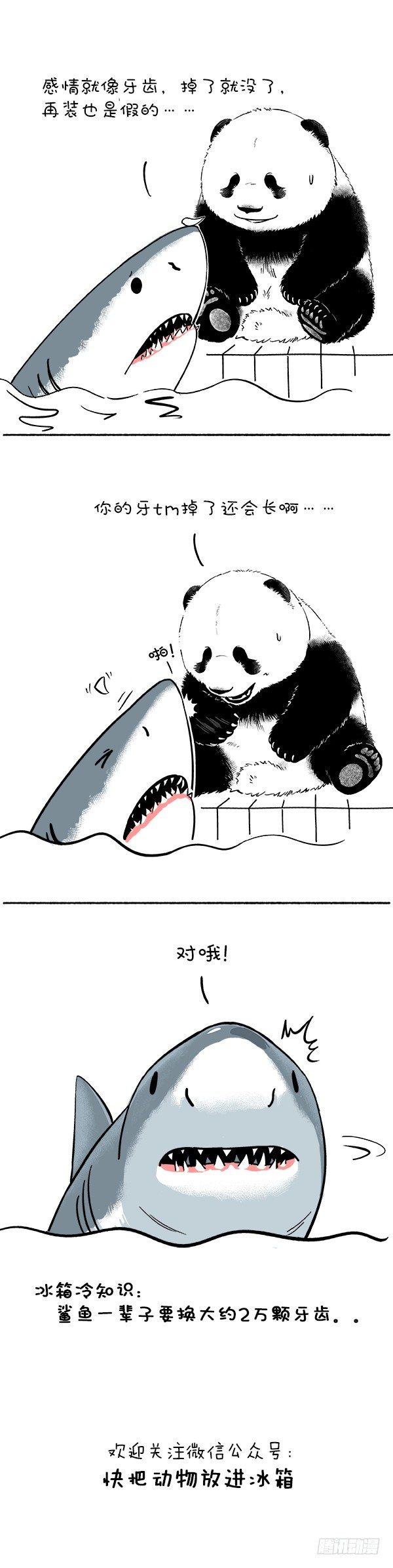 🍕快把动物放进冰箱 107爱牙日 第2页