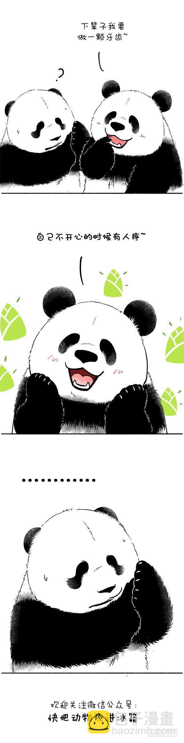 🍕快把动物放进冰箱 107爱牙日 第4页