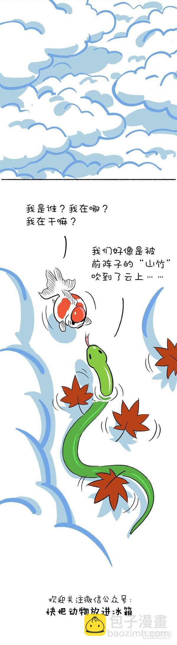 🍕快把动物放进冰箱 109国庆冷萌攻略 第2页