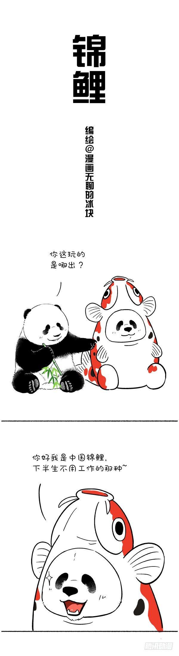 🍕快把动物放进冰箱 111转发这“头”锦鲤 第1页