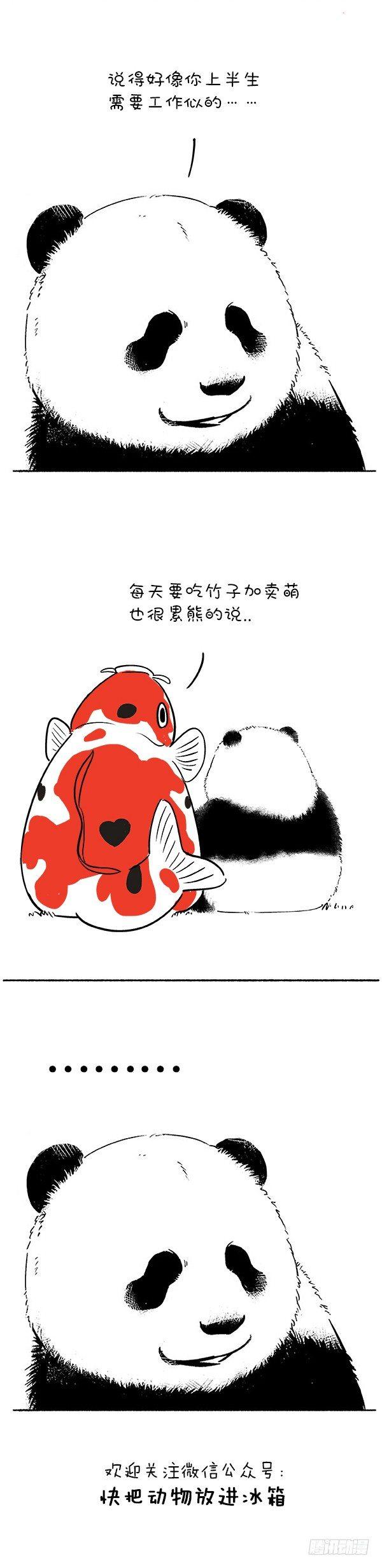 🍕快把动物放进冰箱 111转发这“头”锦鲤 第2页