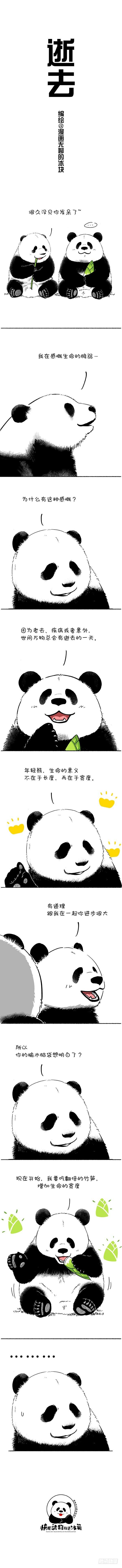 🍕快把动物放进冰箱 115生命的意义 奇思哲学 第1页