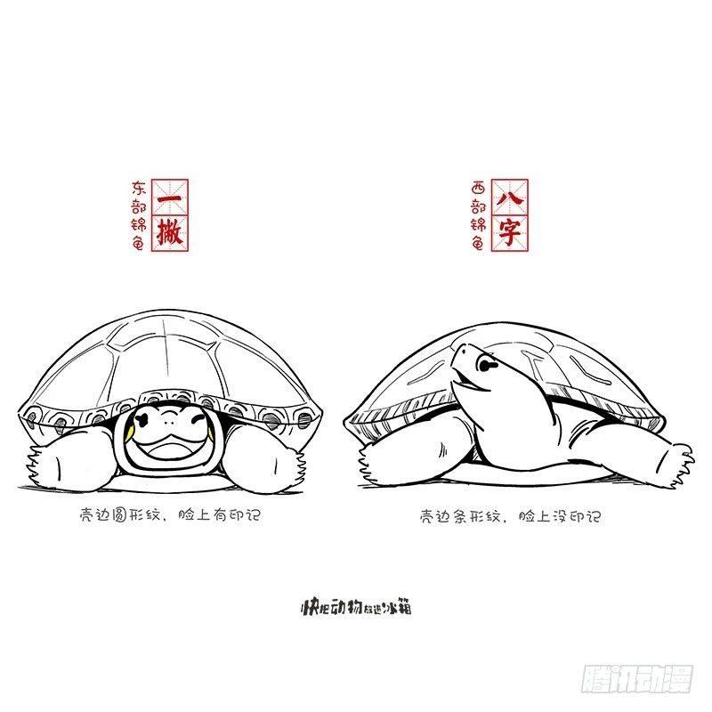🍕快把动物放进冰箱 冬日high翻天计划 第4页