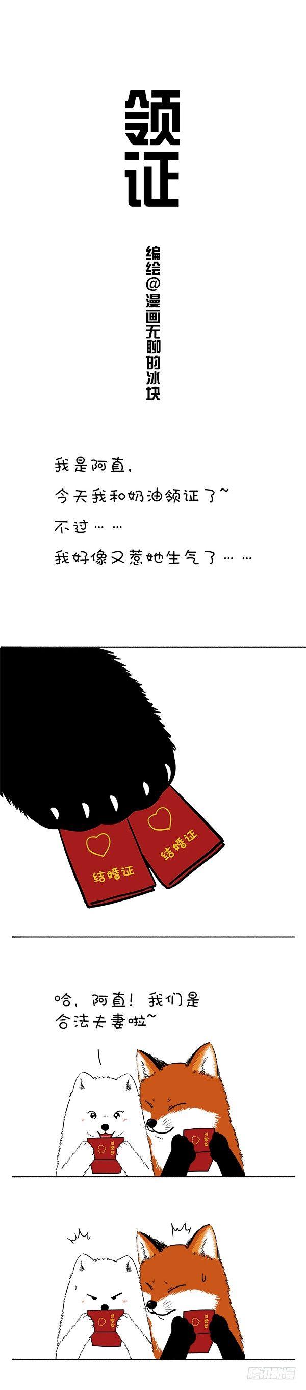 🍕快把动物放进冰箱 121阿直奶油领证官宣~ 第1页