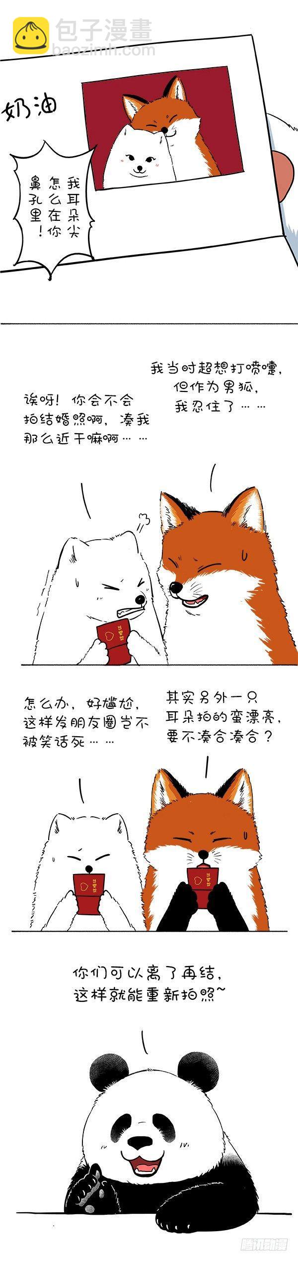 🍕快把动物放进冰箱 121阿直奶油领证官宣~ 第2页
