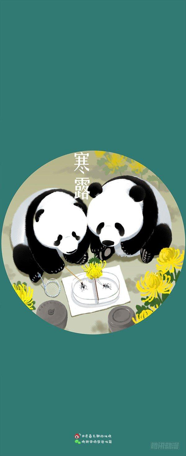 🍕快把动物放进冰箱 133 24节气壁纸合集 第17页