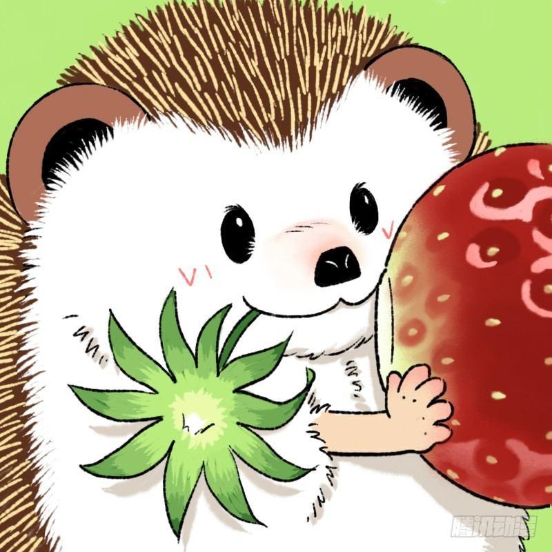 🍕快把动物放进冰箱 145奇大仙算姻缘 第4页