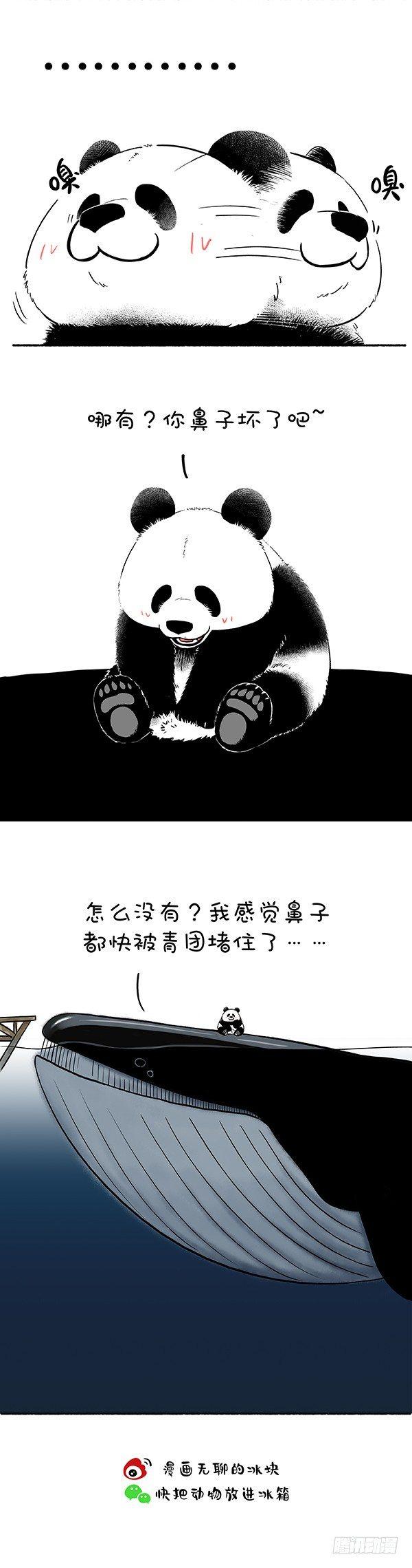 🍕快把动物放进冰箱 149清明节氛围一定要浓~ 第2页