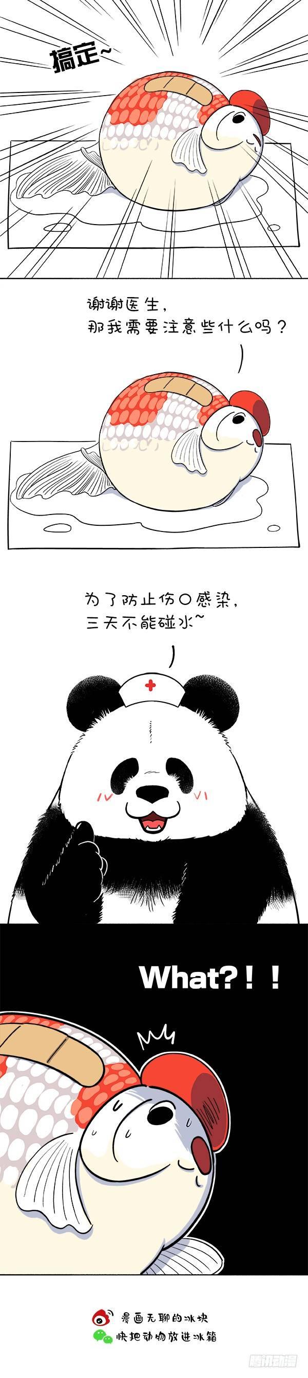 🍕快把动物放进冰箱 161我觉得我还能抢救一下 第3页