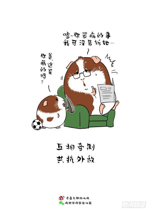 🍕快把动物放进冰箱 165父爱的正确打开方式 第5页