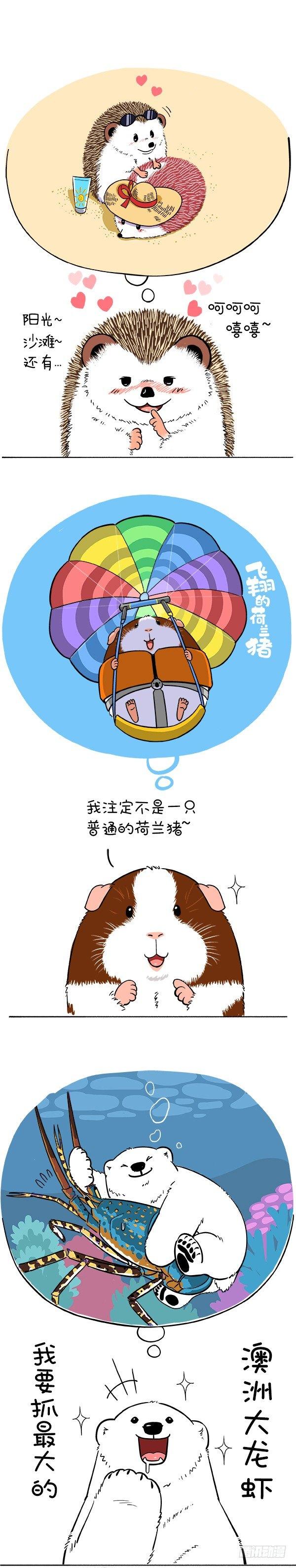 🍕快把动物放进冰箱 167萌冻夏令营澳洲行（预热） 第2页