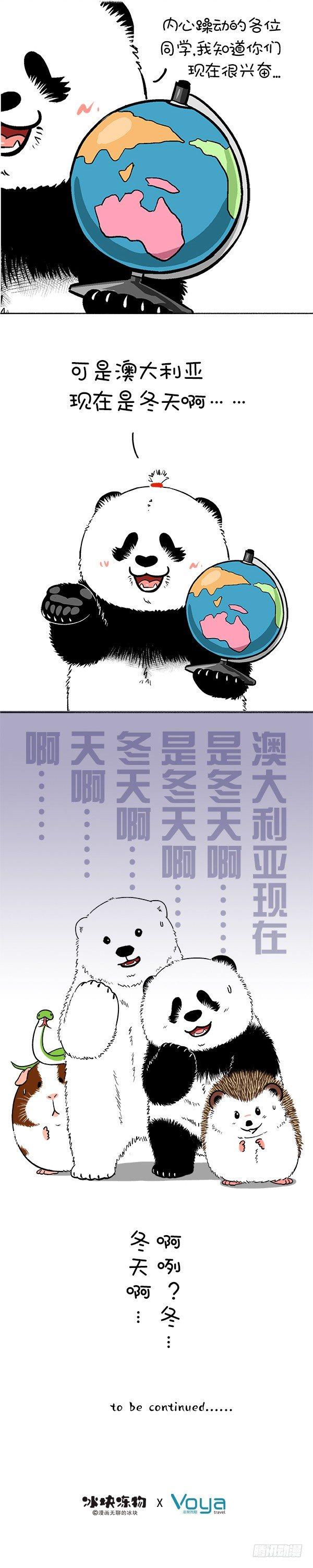 🍕快把动物放进冰箱 167萌冻夏令营澳洲行（预热） 第3页