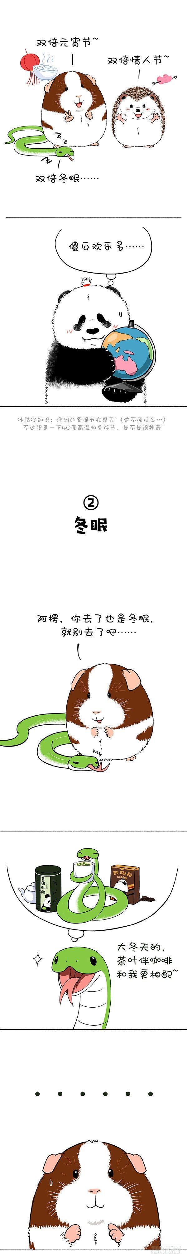 🍕快把动物放进冰箱 169真正的关怀是给你我的卡 第2页