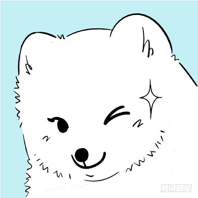 🍕快把动物放进冰箱 175这份叽叽喳喳的浪漫请收好 第8页
