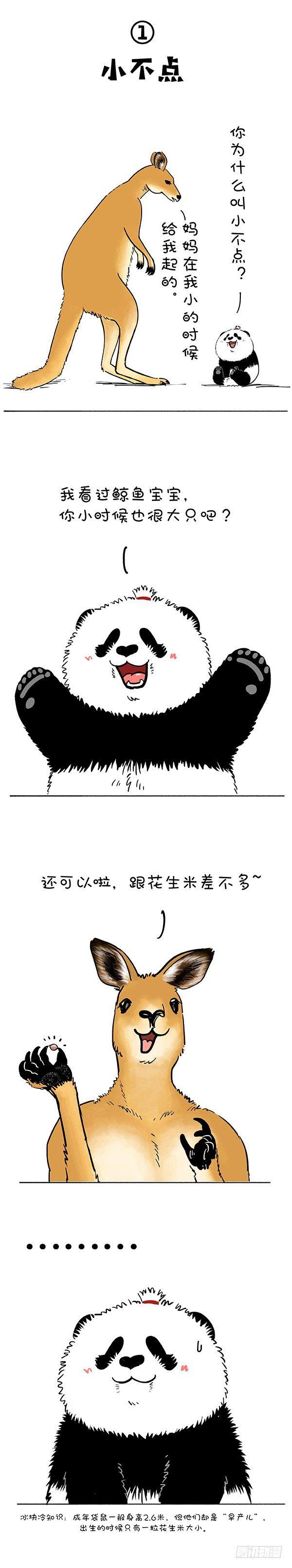 🍕快把动物放进冰箱 181没人告诉我鼠有这么大… 第2页
