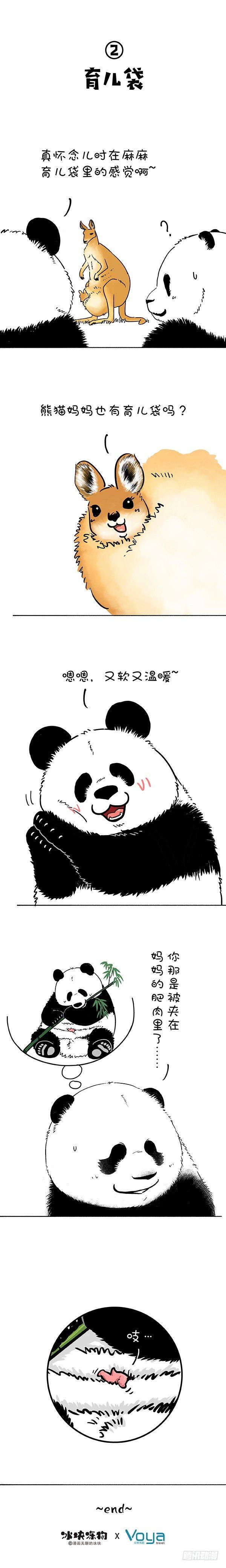 🍕快把动物放进冰箱 181没人告诉我鼠有这么大… 第3页