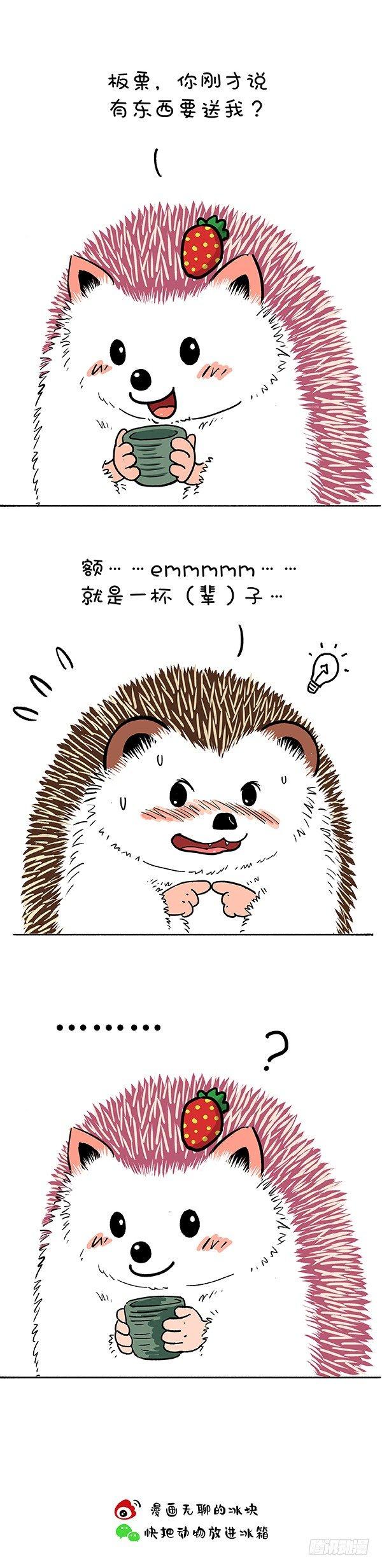 🍕快把动物放进冰箱 183你赏月亮我赏你 第4页
