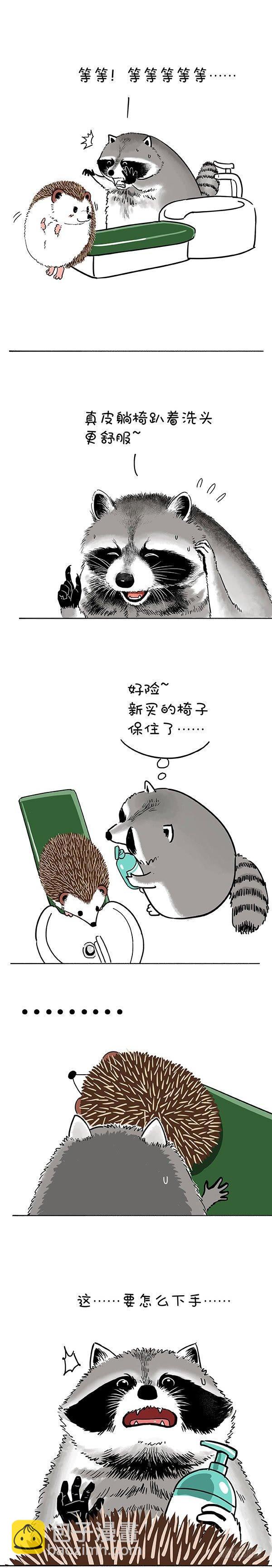 🍕快把动物放进冰箱 185洗迎国庆，从头做起 第2页