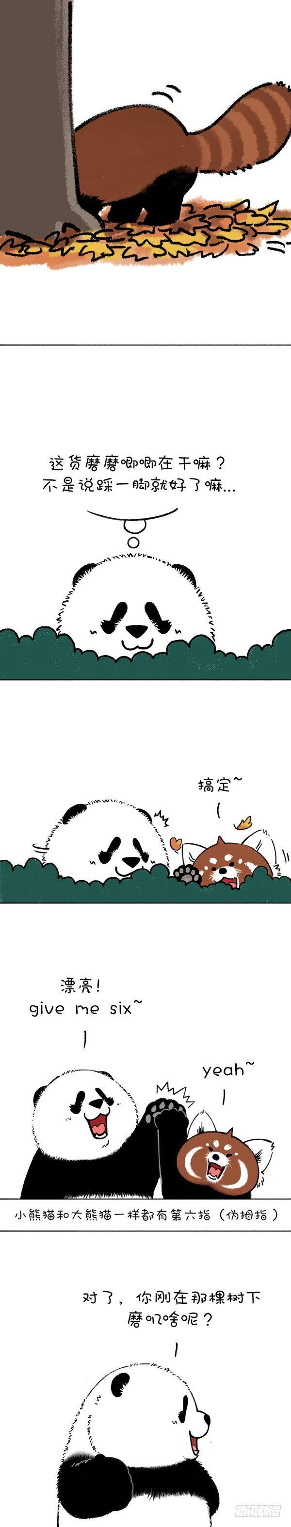 🍕快把动物放进冰箱 201今天就让你见识见识哥的手段 第3页