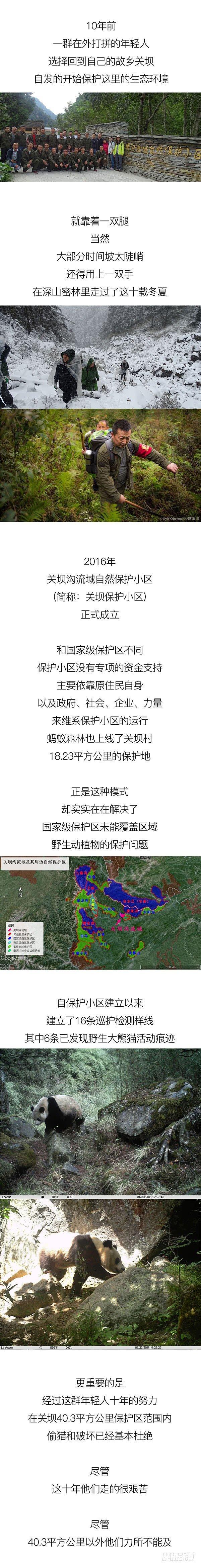🍕快把动物放进冰箱 201今天就让你见识见识哥的手段 第8页