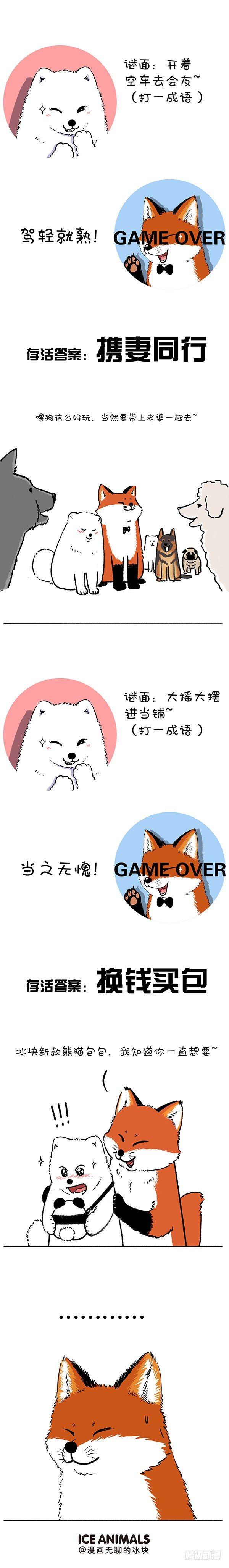 🍕快把动物放进冰箱 211对元宵彩灯和灯谜的认知升级 第10页