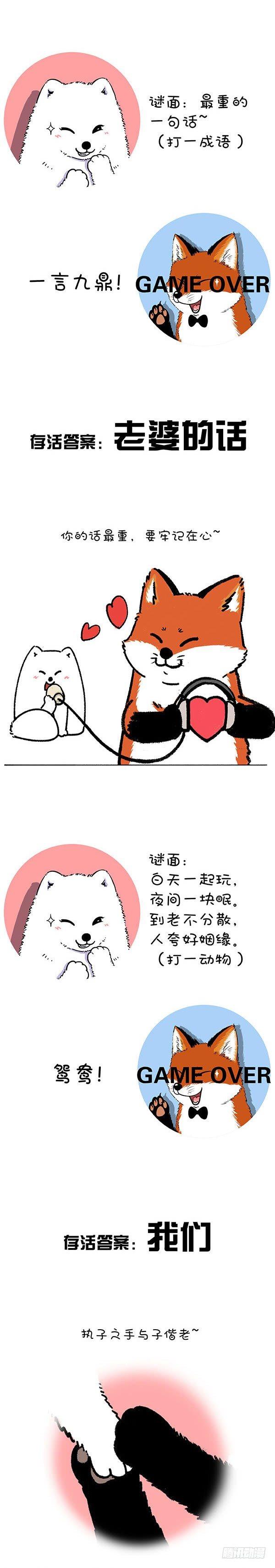 🍕快把动物放进冰箱 211对元宵彩灯和灯谜的认知升级 第8页