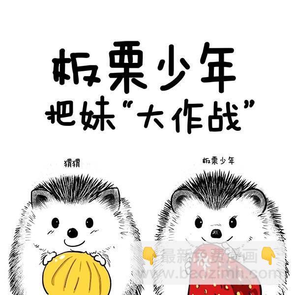 🍕快把动物放进冰箱 022《板栗少年把妹大作战》预热 第2页