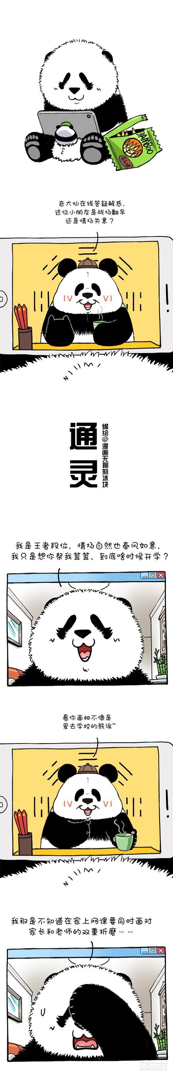 🍕快把动物放进冰箱 213萌熊大仙在线算命 第1页