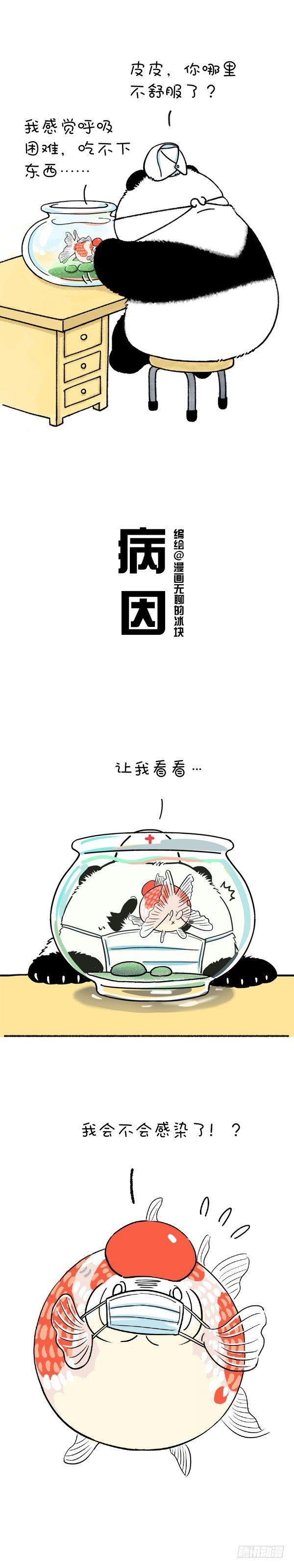 🍕快把动物放进冰箱 215我就是你的灵魂治疗思 第1页