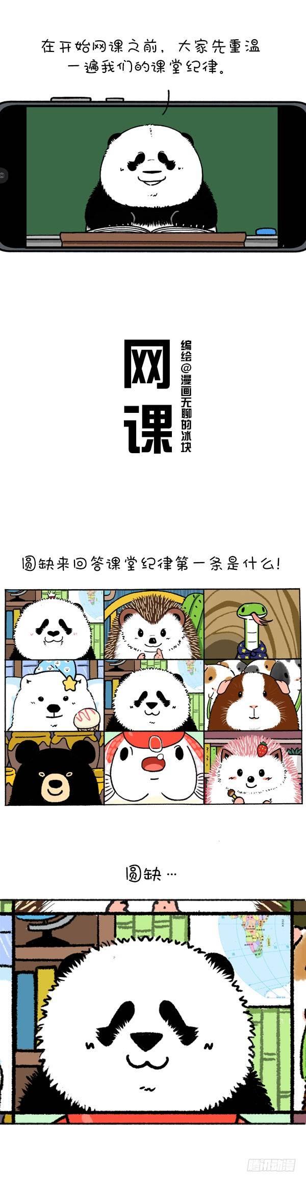 🍕快把动物放进冰箱 219圆宝老师网课翻车现场 第1页