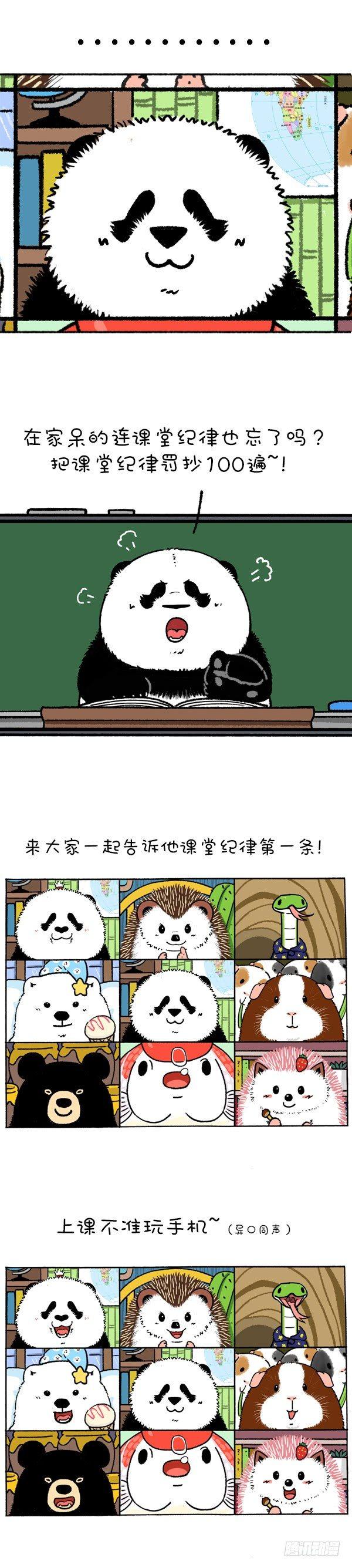 🍕快把动物放进冰箱 219圆宝老师网课翻车现场 第2页