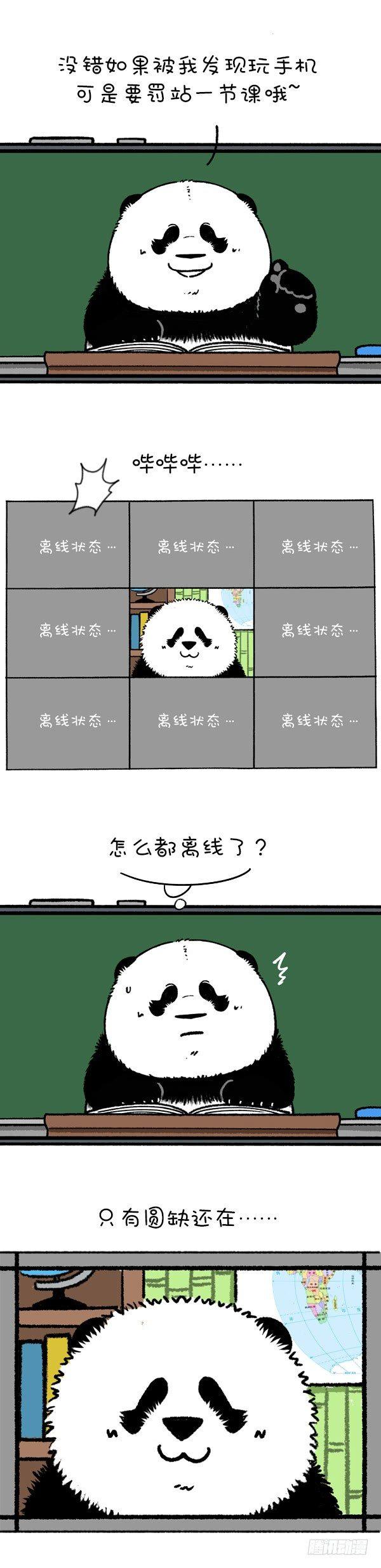 🍕快把动物放进冰箱 219圆宝老师网课翻车现场 第3页