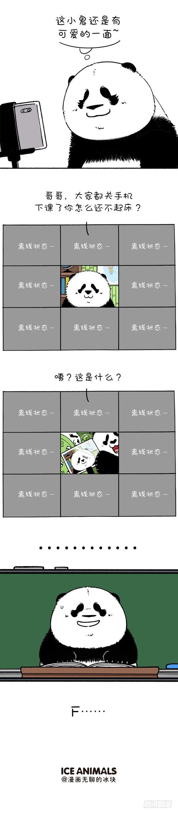 🍕快把动物放进冰箱 219圆宝老师网课翻车现场 第4页