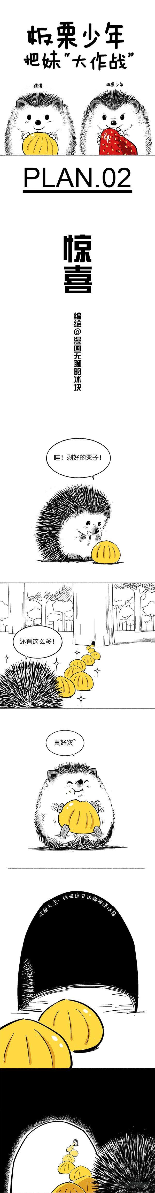 🍕快把动物放进冰箱 024惊喜 第1页